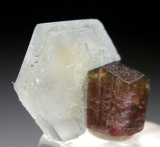 Vorobyevite on Tourmaline from Badakhshan Province, Afghanistan [db_pics/pics/t130c.jpg]