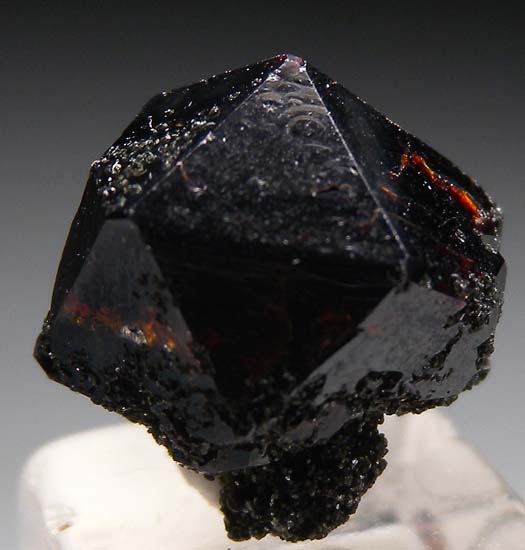Cafarsite from Wannigletscher, Scherbadung, Valais (Wallis), Switzerland [db_pics/pics/t133a.jpg]