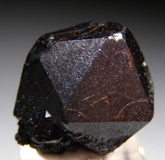 Cafarsite from Wannigletscher, Scherbadung, Valais (Wallis), Switzerland [db_pics/pics/t134a.jpg]