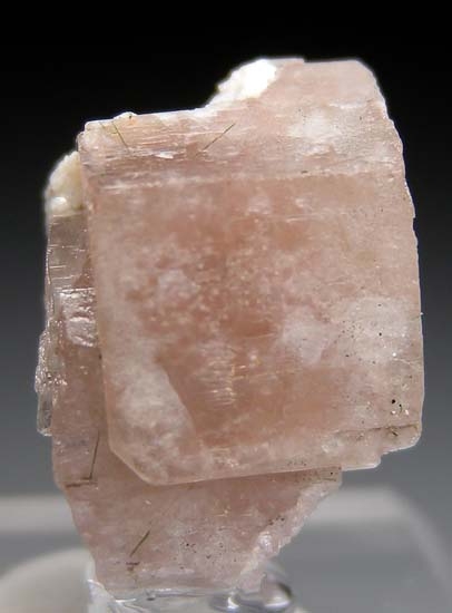 Zektzerite from Washington Pass, Okanogan Co., Washington, USA [db_pics/pics/t143a.jpg]