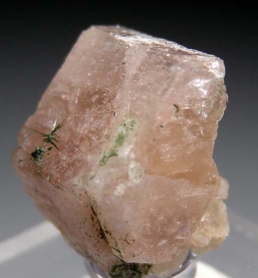 Zektzerite from Washington Pass, Okanogan Co., Washington, USA [db_pics/pics/t144b.jpg]