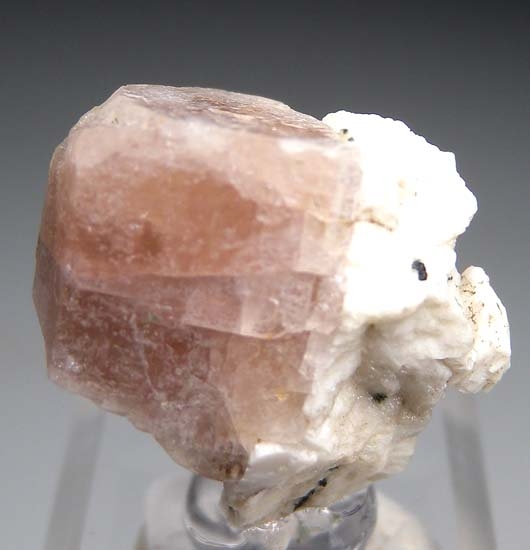 Zektzerite from Washington Pass, Okanogan Co., Washington, USA [db_pics/pics/t146c.jpg]