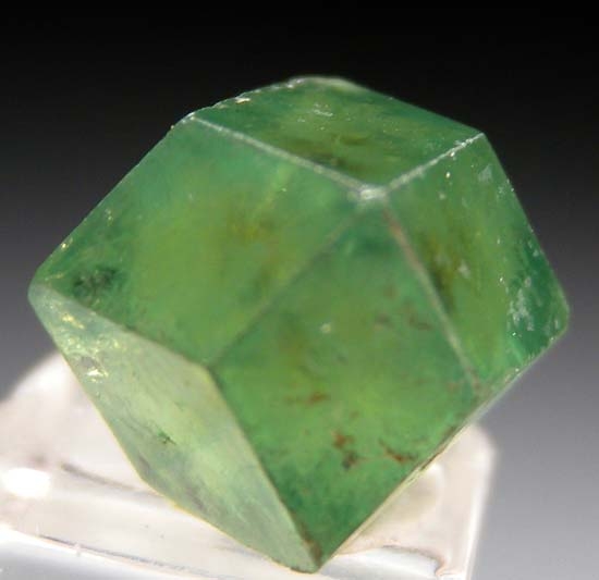 Demantoid Garnet from Balochistan, Pakistan [db_pics/pics/t152b.jpg]