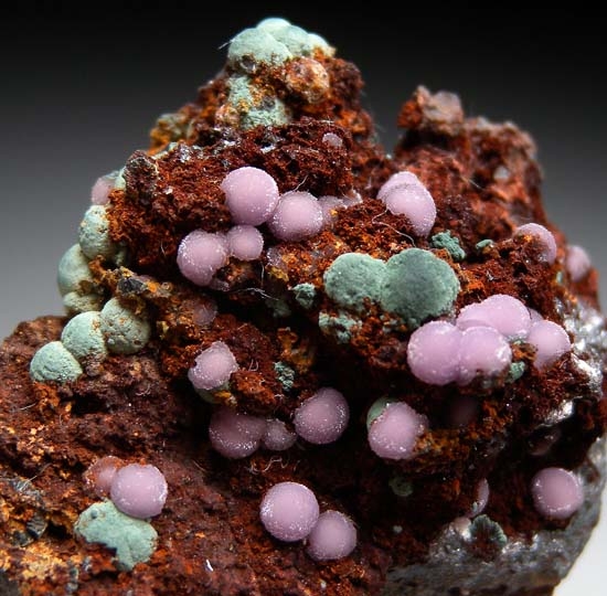 Strengite with Rockbridgeite from Leveaniemi Mine, Svappavaara, Sweden [db_pics/pics/t154c.jpg]