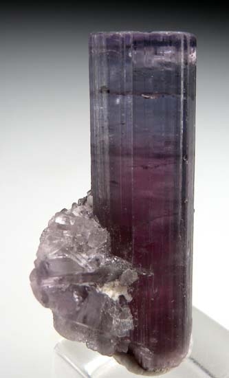 Tourmaline from Laghman Prov., Afghanistan [db_pics/pics/t164a.jpg]