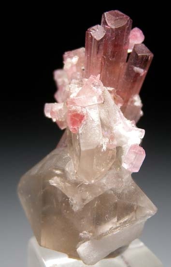 Tourmaline with Quartz from Paprok, Afghanistan [db_pics/pics/t165a.jpg]