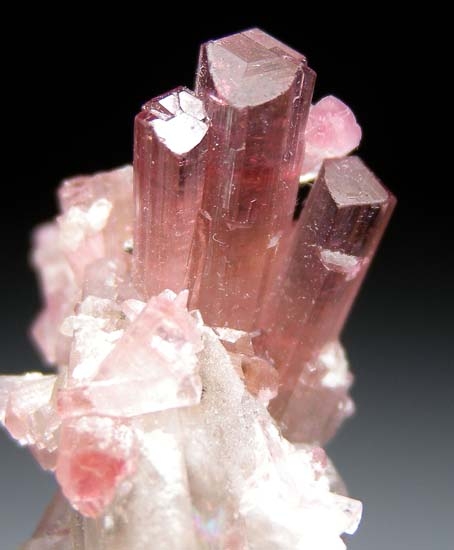 Tourmaline with Quartz from Paprok, Afghanistan [db_pics/pics/t165c.jpg]