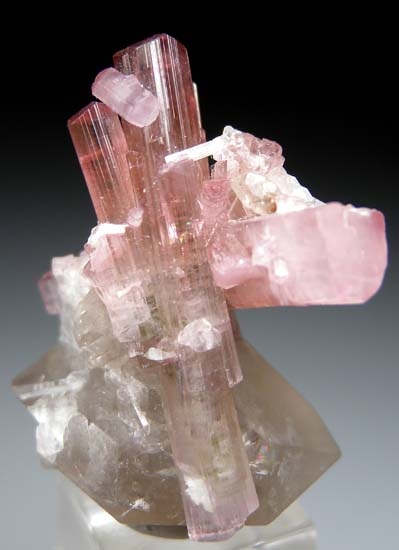 Tourmaline with Quartz from Paprok, Afghanistan [db_pics/pics/t165d.jpg]