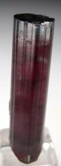 Tourmaline from Pederneira Mine, SÃ£o JosÃ© da Safira, Doce valley, Minas Gerais, Brazil [db_pics/pics/t169b.jpg]