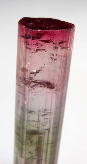 Tourmaline from Cruziero Mine, SÃ£o JosÃ© da Safira, Doce valley, Minas Gerais, Brazil [db_pics/pics/t172b.jpg]