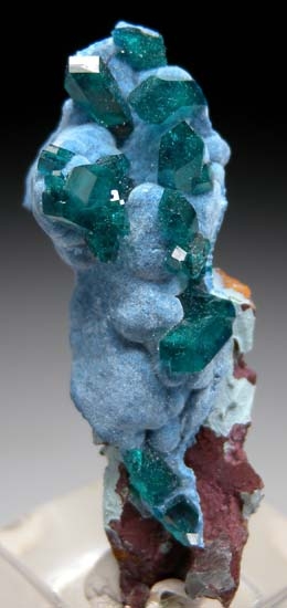 Dioptase on Shattuckite from Kaokaveld, Kunene Region, Namibia [db_pics/pics/t263a.jpg]