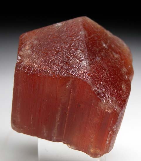 Scapolite from Morogoro, Tanzania [db_pics/pics/t280a.jpg]