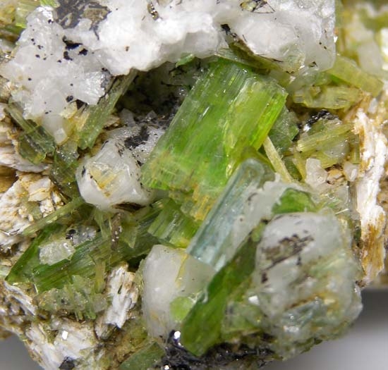 Apatite, Tremolite, Graphite from Merelani Hills, Arusha, Tanzania [db_pics/pics/t290c.jpg]