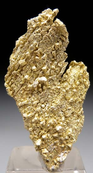 Gold from Round Mountain Mine, Nye Co., Nevada, USA [db_pics/pics/t305a.jpg]