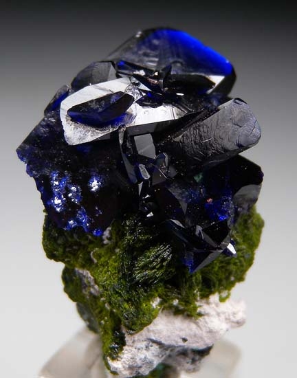 Azurite on Volborthite with Malachite from Milpillas Mine, Cuitaca, Sonora, Mexico [db_pics/pics/t322d.jpg]
