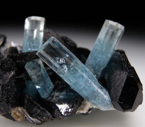 Aquamarine with Schorl from Erongo Mountains, Namibia [db_pics/pics/t414c.jpg]