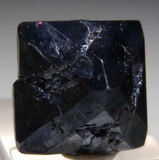 Cuprite from Poteryaevskoe Mine, Rubtsovskoe Deposit, Western Siberia, Russia [db_pics/pics/t418a.jpg]