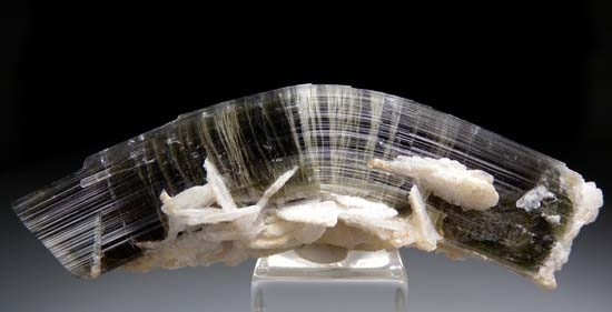 Tourmaline from Stak Nala, Skardu, Pakistan [db_pics/pics/t419a.jpg]