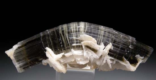 Tourmaline from Stak Nala, Skardu, Pakistan [db_pics/pics/t419d.jpg]