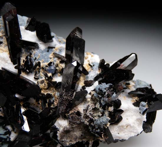 Neptunite from Gem Mine, San Benito Co., California [db_pics/pics/t421b.jpg]
