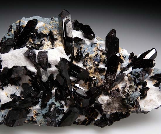 Neptunite from Gem Mine, San Benito Co., California [db_pics/pics/t421c.jpg]