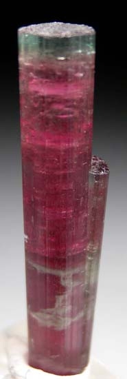 Tourmaline from Barra de Salinas, Minas Gerais, Brazil [db_pics/pics/t427b.jpg]