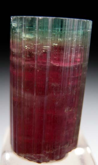 Tourmaline from Barra de Salinas, Minas Gerais, Brazil [db_pics/pics/t450c.jpg]