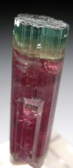 Tourmaline from Barra de Salinas, Minas Gerais, Brazil [db_pics/pics/t451b.jpg]