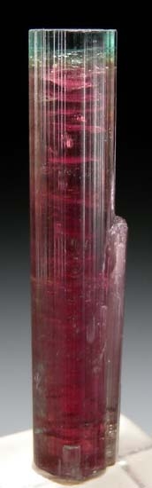 Tourmaline from Barra de Salinas, Minas Gerais, Brazil [db_pics/pics/t453a.jpg]