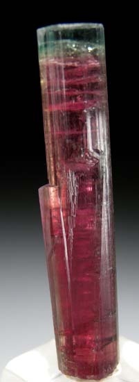 Tourmaline from Barra de Salinas, Minas Gerais, Brazil [db_pics/pics/t453b.jpg]