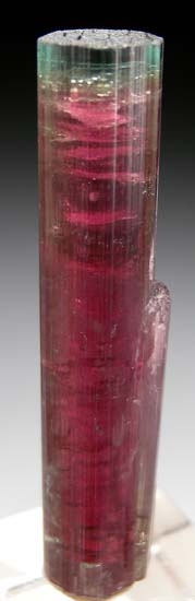 Tourmaline from Barra de Salinas, Minas Gerais, Brazil [db_pics/pics/t453c.jpg]