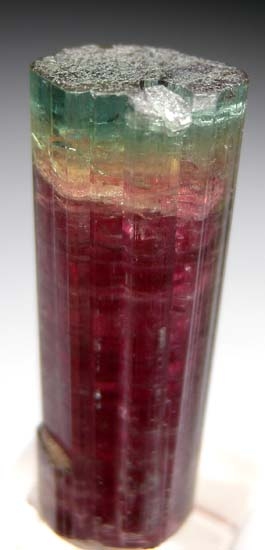 Tourmaline from Barra de Salinas, Minas Gerais, Brazil [db_pics/pics/t454b.jpg]