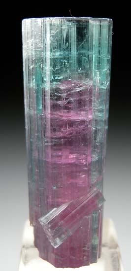 Tourmaline from Santa Rosa Mine, Minas Gerais, Brazil [db_pics/pics/t491a.jpg]