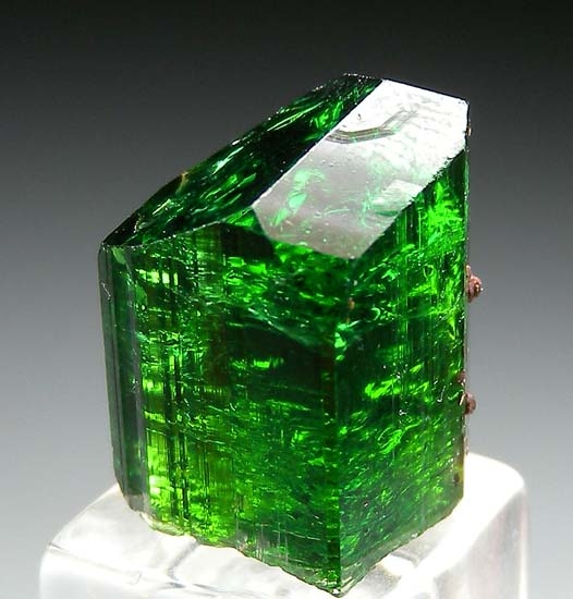 Chrome Tourmaline from Landanai, Tanzania [db_pics/pics/t499a.jpg]
