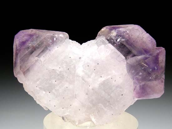 Amethyst from Madagascar [db_pics/pics/t501a.jpg]