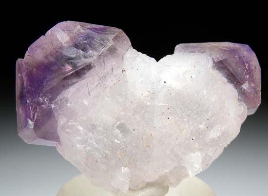 Amethyst from Madagascar [db_pics/pics/t501c.jpg]