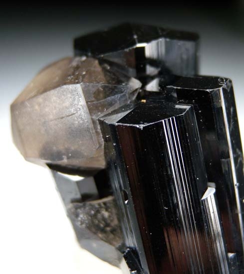 Quartz on Schorl from Skardu, Pakistan [db_pics/pics/t522b.jpg]