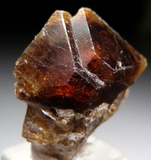 Vesuvianite from Portola, Plumas Co., California, USA [db_pics/pics/t526a.jpg]