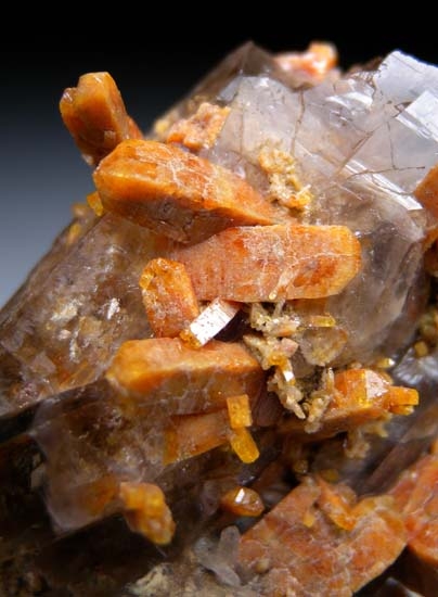 Zircon on Quartz from Mt. Malosa, Malawi [db_pics/pics/t534d.jpg]