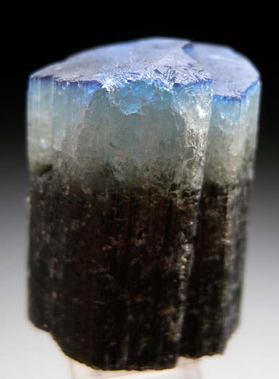 Dravite from Mwajanga, near Komolo, Tanzania [db_pics/pics/t556a.jpg]