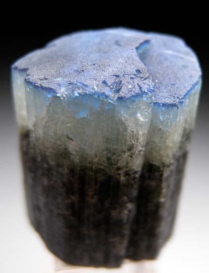 Dravite from Mwajanga, near Komolo, Tanzania [db_pics/pics/t556c.jpg]