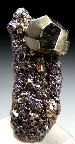 Pyrite on Graphite from Merelani Hills, Arusha, Tanzania [db_pics/pics/t558a.jpg]