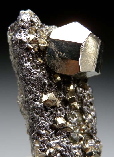 Pyrite on Graphite from Merelani Hills, Arusha, Tanzania [db_pics/pics/t558b.jpg]