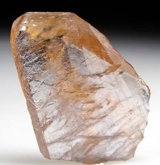 Magnesio Axinite from Merelani Hills, Arusha, Tanzania [db_pics/pics/t559b.jpg]