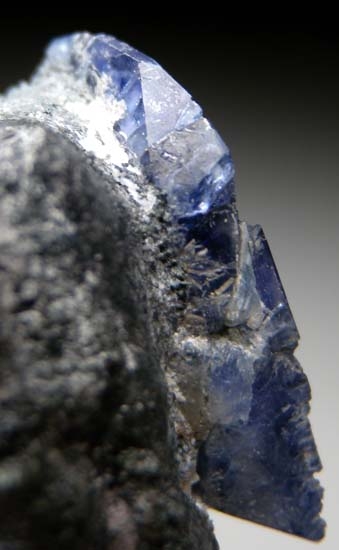 Benitoite from Gem Mine, San Benito Co., California, USA [db_pics/pics/t604b.jpg]