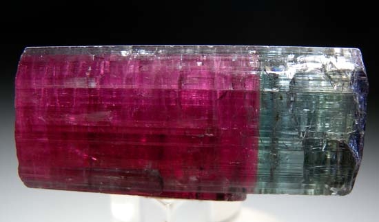 Tourmaline from Pederniera Mine, Minas Gerais, Brazil [db_pics/pics/t605b.jpg]