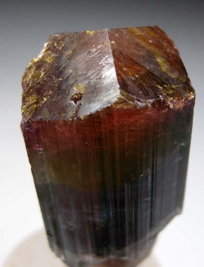 Tourmaline from Virgem da Lapa, Minas Gerais, Brazil [db_pics/pics/t606b.jpg]