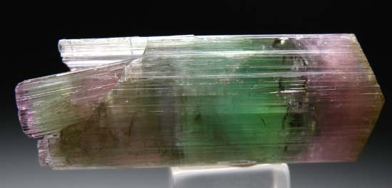 Tourmaline from Chia Mine, Minas Gerais, Brazil [db_pics/pics/t608a.jpg]