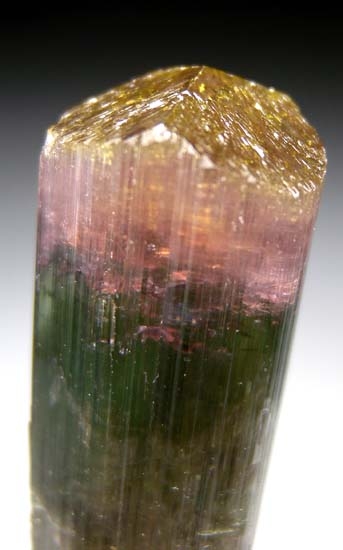 Tourmaline from Chia Mine, Minas Gerais, Brazil [db_pics/pics/t608b.jpg]
