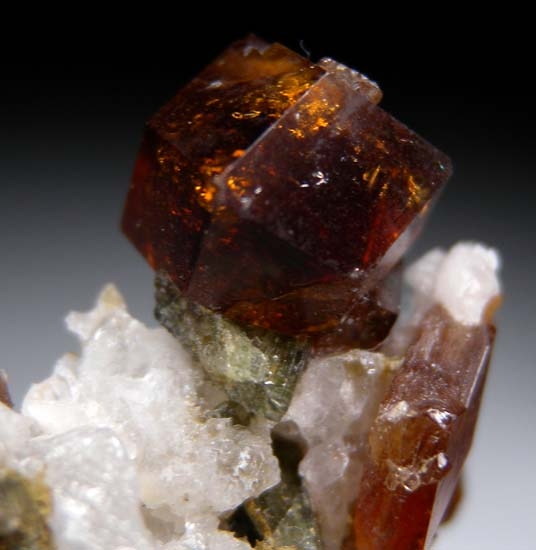 Andradite with Diopside from Lowel Pit, Eden Mills, Vermont, USA [db_pics/pics/t689d.jpg]